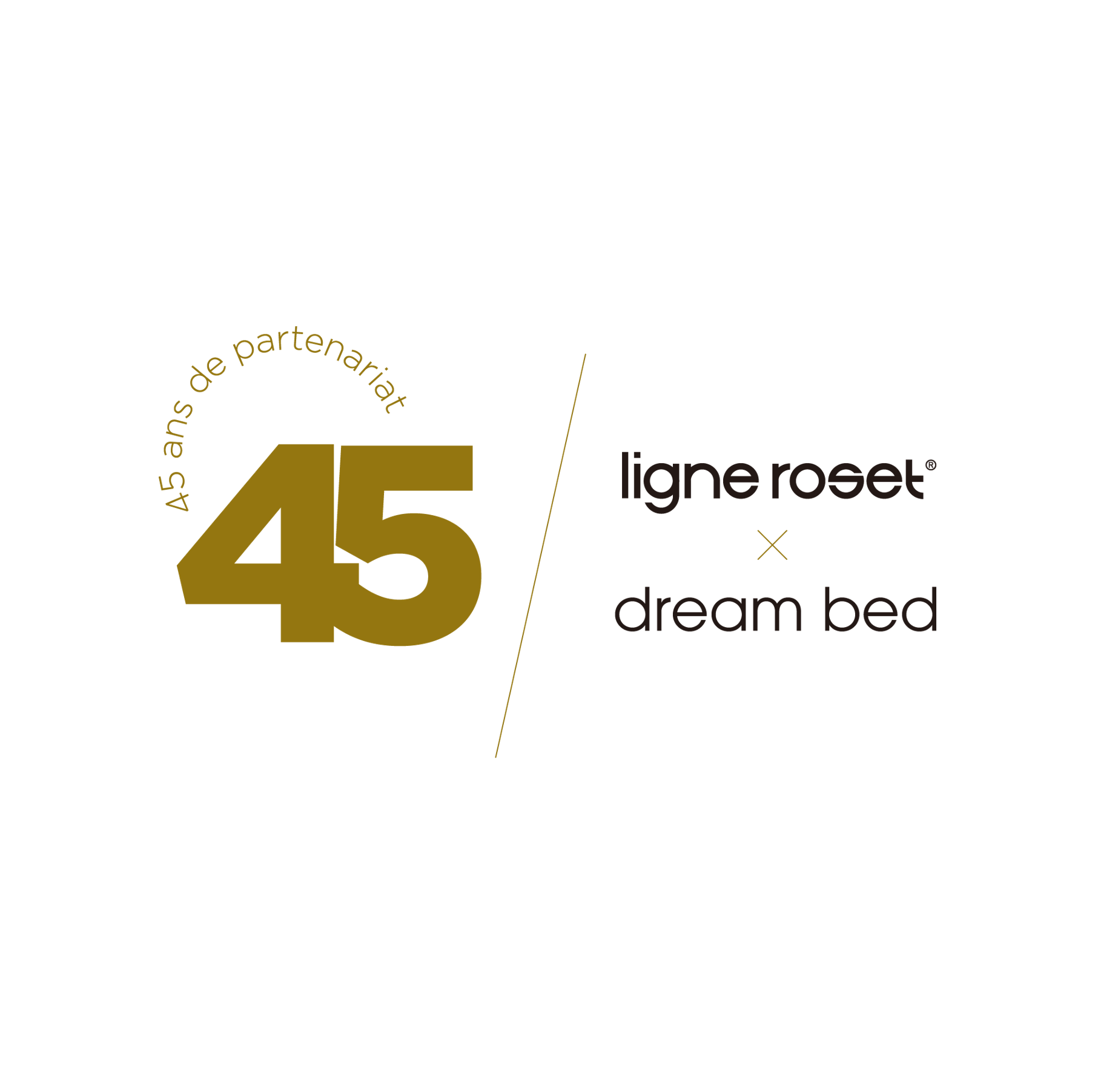 ソファ ROSETTogo | ロゼトーゴ〈45th Anniversary KAKEHASHI〉