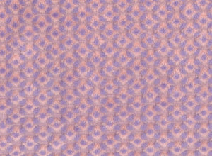 【オンラインショップ限定】第二弾 ROSETTogo4 colors | ロゼトーゴ 4 colors